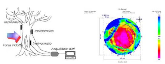 dendrotec2.jpg
