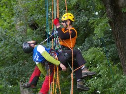 tree-climbing-2015