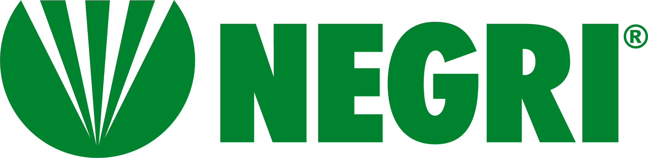 logo NEGRI