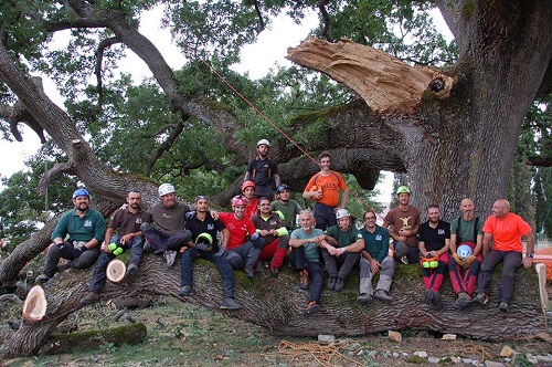 Immagine del gruppo vicino alla quercia