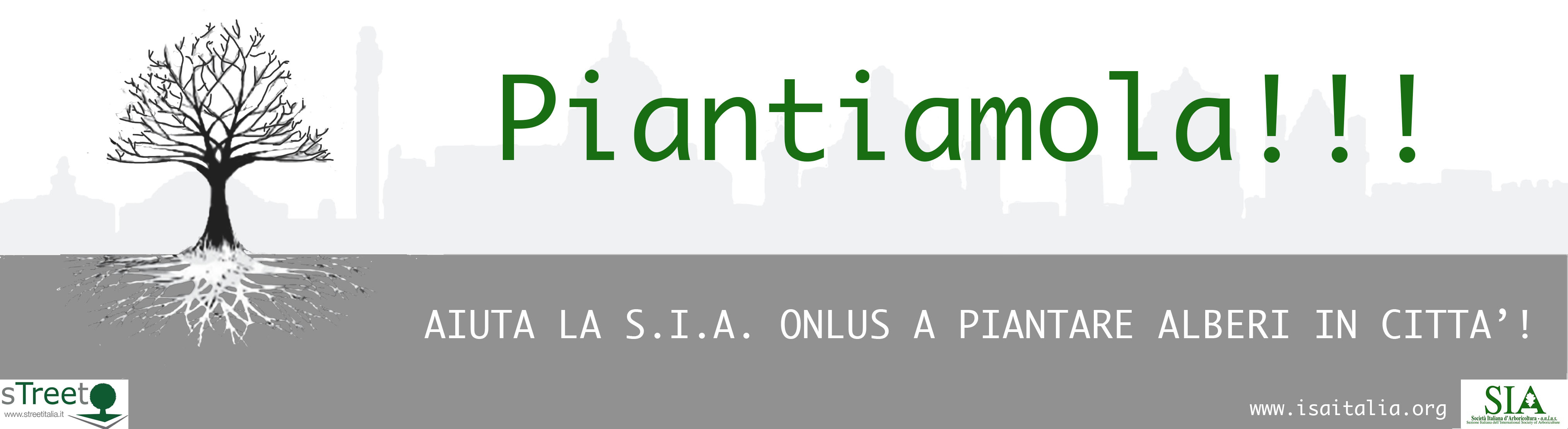 PIANTIAMOLA logo